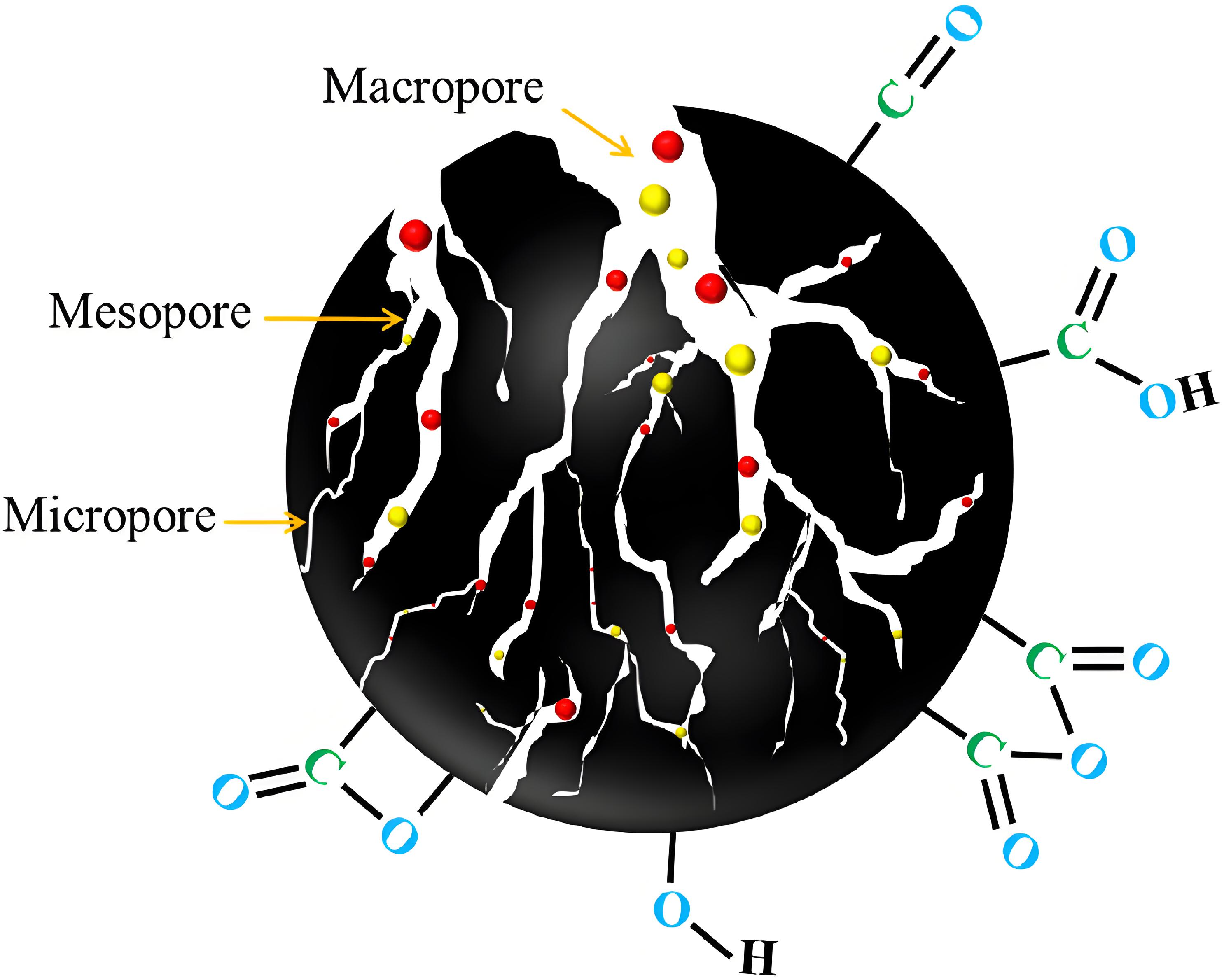 Microscopic image of the internal voids of activated carbon